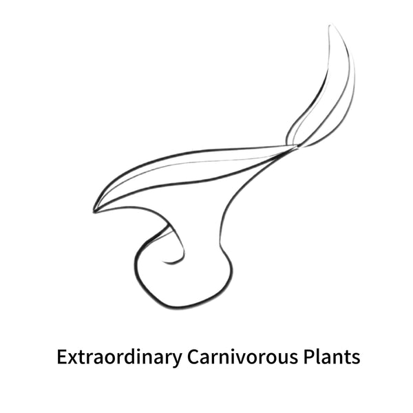Extraordinary Carnivorous Plants